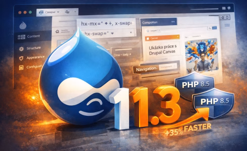 Drupal 11.3